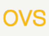 OVS